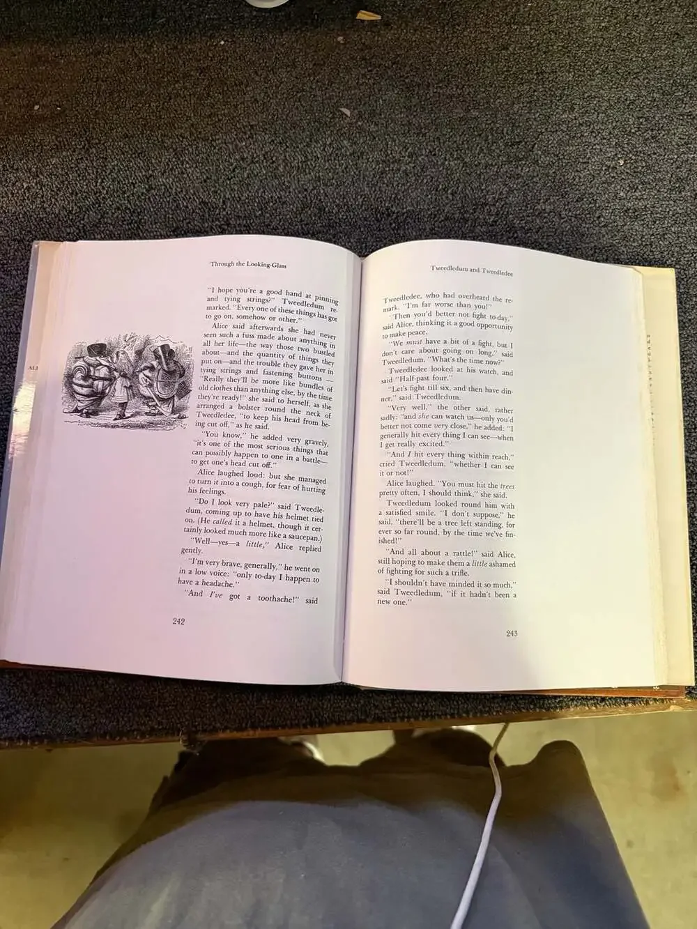 The Annotated Alice: Alice's Adventures in Wonderland and Through the Looking-Gl